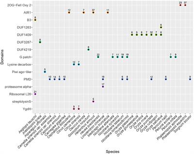 Recent Acquisition of Functional m6A RNA Demethylase Domain in Orchid Ty3/Gypsy Elements